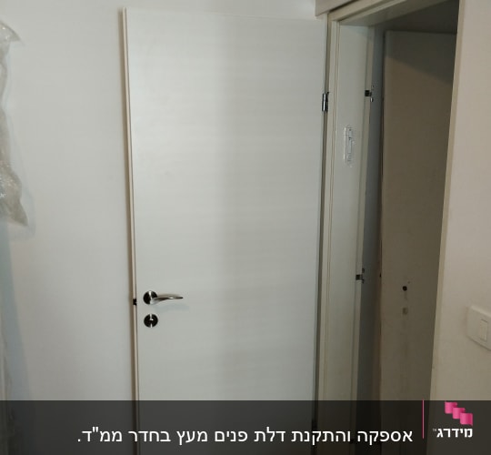 דלת לבנה עם ידית מתכת כסופה